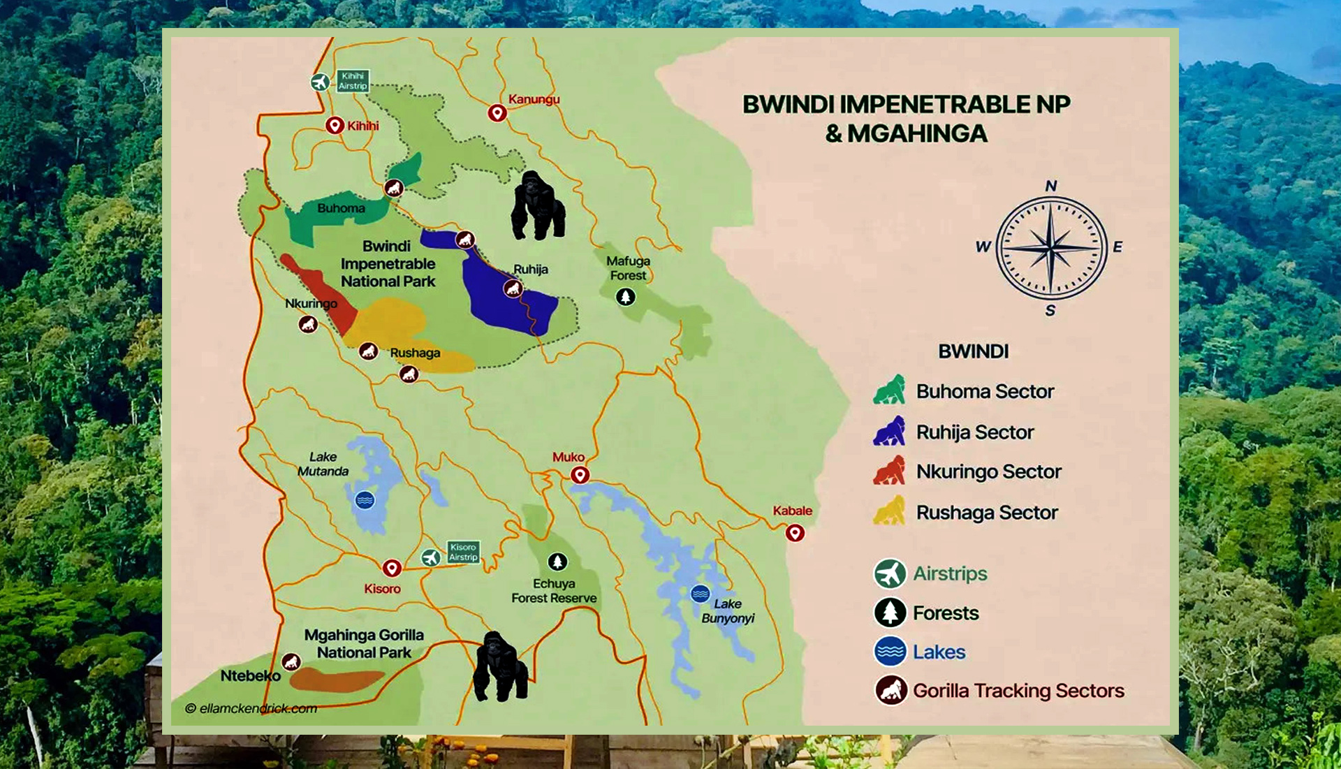 Bwindi Impenetrable National Park