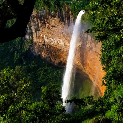 Every weekend at the Murchison falls national park